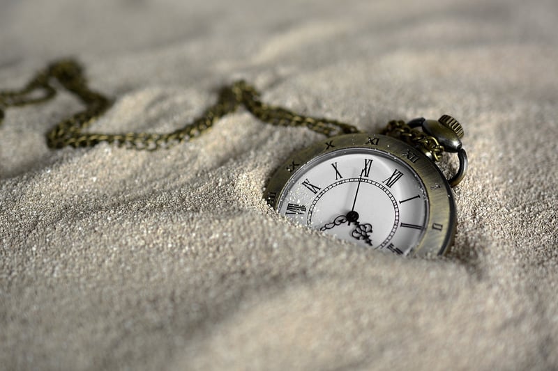 Time Travel Tourism